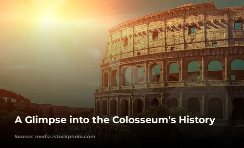 A Glimpse into the Colosseum's History