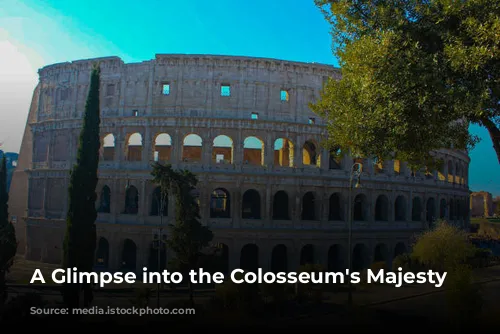 A Glimpse into the Colosseum's Majesty