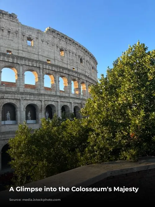 A Glimpse into the Colosseum's Majesty