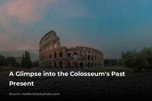 A Glimpse into the Colosseum's Past and Present