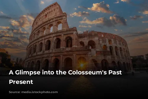 A Glimpse into the Colosseum's Past and Present