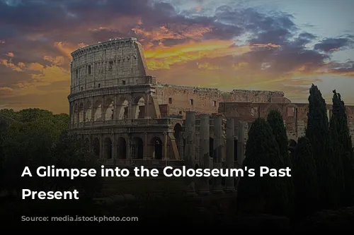 A Glimpse into the Colosseum's Past and Present