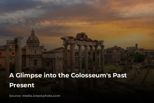 A Glimpse into the Colosseum's Past and Present