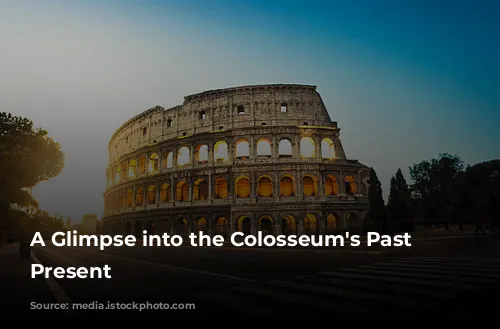 A Glimpse into the Colosseum's Past and Present