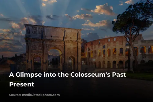 A Glimpse into the Colosseum's Past and Present