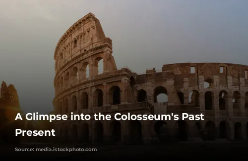 A Glimpse into the Colosseum's Past and Present