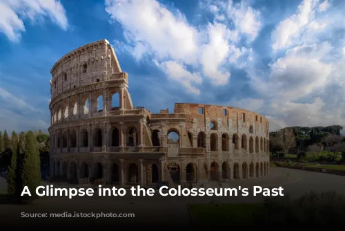 A Glimpse into the Colosseum's Past