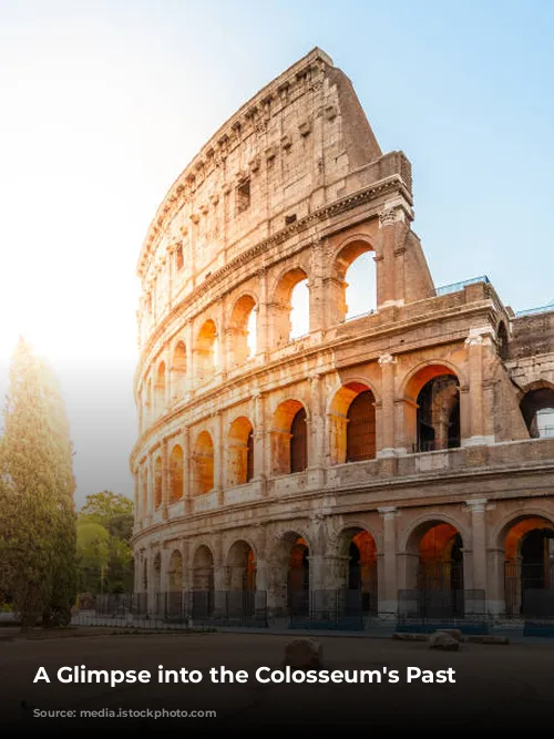 A Glimpse into the Colosseum's Past