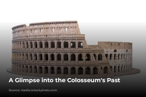 A Glimpse into the Colosseum's Past