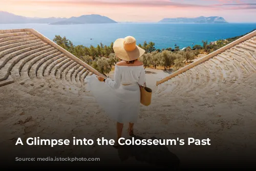 A Glimpse into the Colosseum's Past