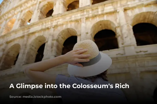 A Glimpse into the Colosseum's Rich Past