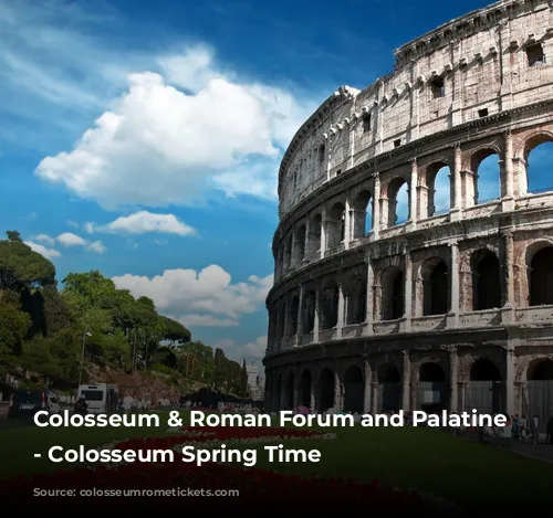 Colosseum & Roman Forum and Palatine Package - Colosseum Spring Time