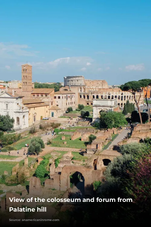 View of the colosseum and forum from the Palatine hill