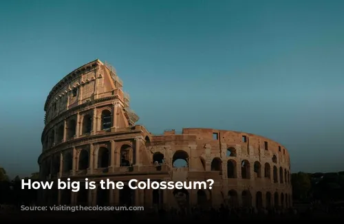 How big is the Colosseum?