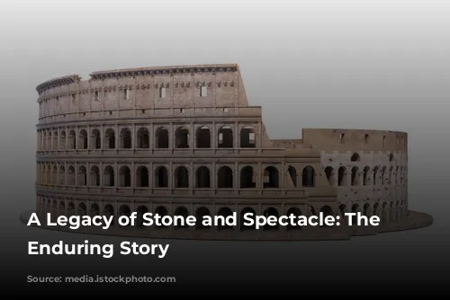 A Legacy of Stone and Spectacle: The Colosseum's Enduring Story