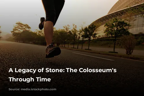 A Legacy of Stone: The Colosseum's Journey Through Time