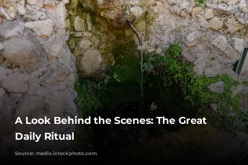 A Look Behind the Scenes: The Great Bath's Daily Ritual