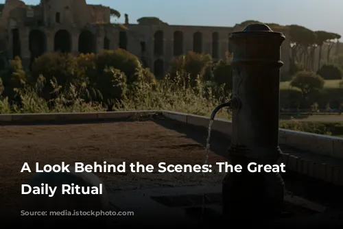 A Look Behind the Scenes: The Great Bath's Daily Ritual