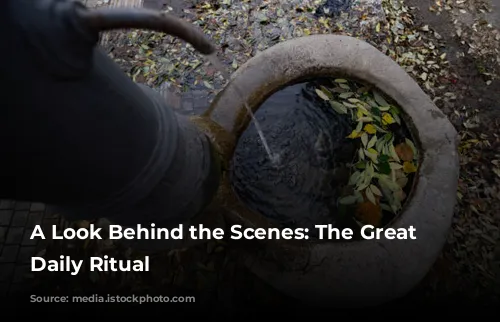 A Look Behind the Scenes: The Great Bath's Daily Ritual