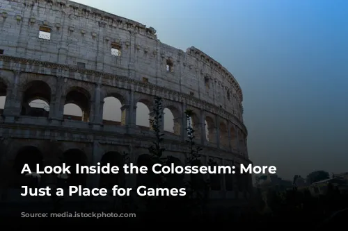 A Look Inside the Colosseum: More Than Just a Place for Games