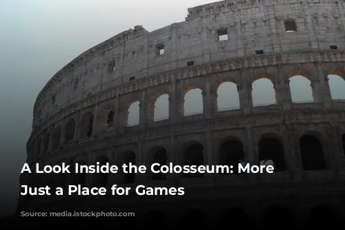 A Look Inside the Colosseum: More Than Just a Place for Games