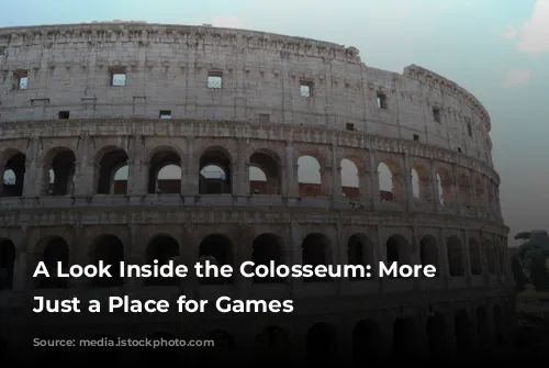 A Look Inside the Colosseum: More Than Just a Place for Games