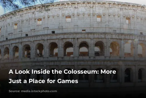 A Look Inside the Colosseum: More Than Just a Place for Games