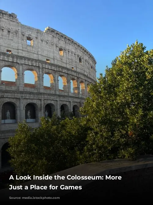 A Look Inside the Colosseum: More Than Just a Place for Games