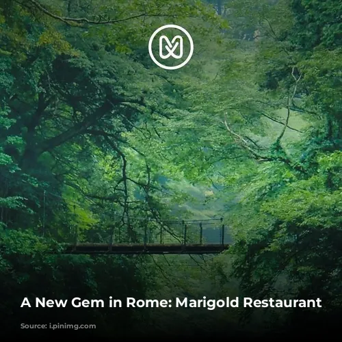 A New Gem in Rome: Marigold Restaurant