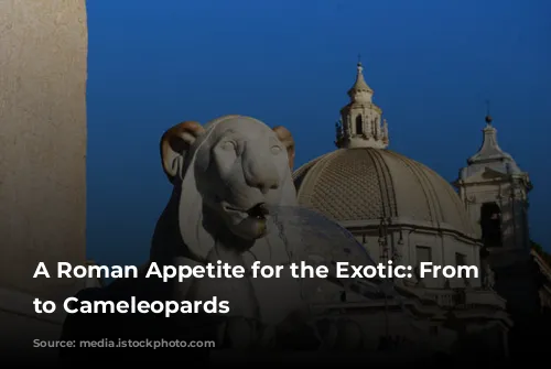 A Roman Appetite for the Exotic: From Elephants to Cameleopards