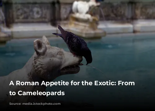 A Roman Appetite for the Exotic: From Elephants to Cameleopards