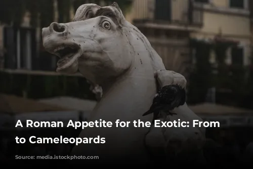 A Roman Appetite for the Exotic: From Elephants to Cameleopards