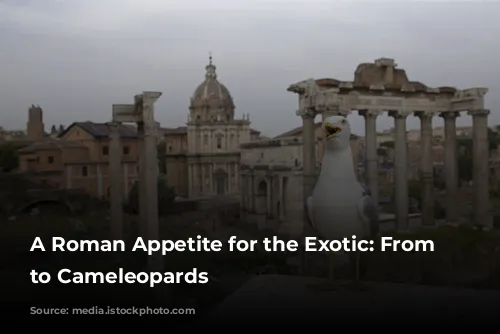 A Roman Appetite for the Exotic: From Elephants to Cameleopards