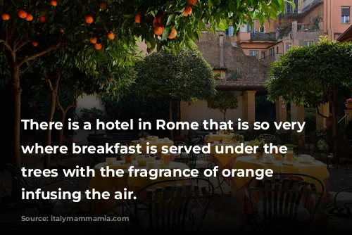 There is a hotel in Rome that is so very special, where breakfast is served under the orange trees with the fragrance of orange blossom infusing the air. 