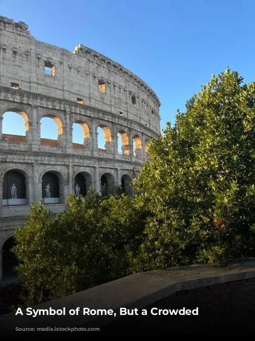 A Symbol of Rome, But a Crowded One