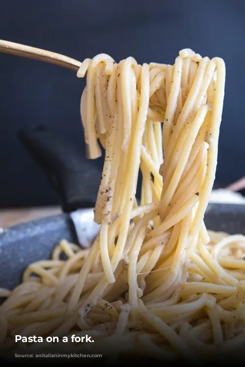 Pasta on a fork.