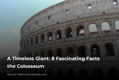 A Timeless Giant: 8 Fascinating Facts About the Colosseum