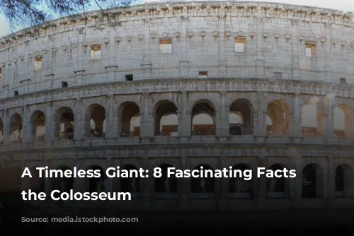 A Timeless Giant: 8 Fascinating Facts About the Colosseum