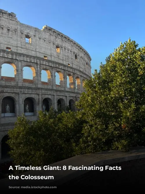 A Timeless Giant: 8 Fascinating Facts About the Colosseum