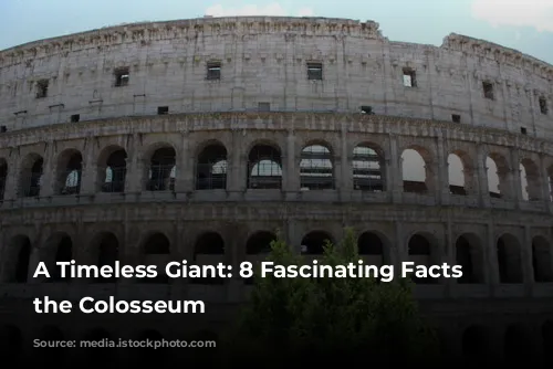 A Timeless Giant: 8 Fascinating Facts About the Colosseum