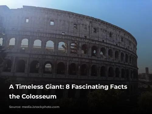 A Timeless Giant: 8 Fascinating Facts About the Colosseum