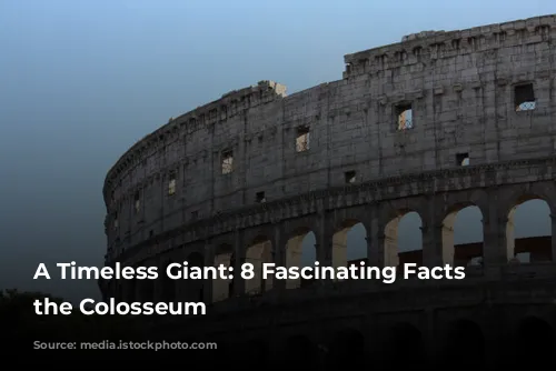 A Timeless Giant: 8 Fascinating Facts About the Colosseum