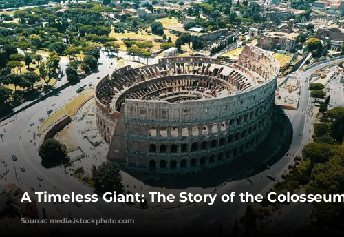 A Timeless Giant: The Story of the Colosseum