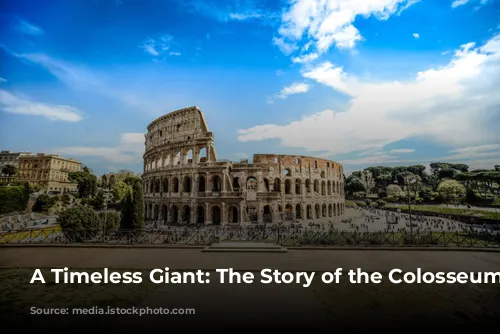 A Timeless Giant: The Story of the Colosseum