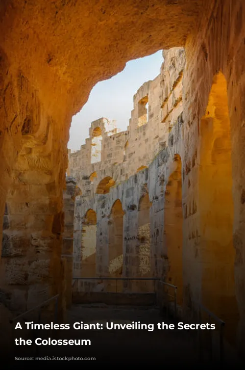 A Timeless Giant: Unveiling the Secrets of the Colosseum