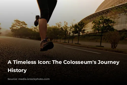 A Timeless Icon: The Colosseum's Journey Through History