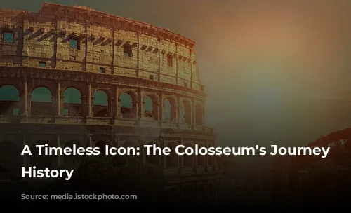 A Timeless Icon: The Colosseum's Journey Through History