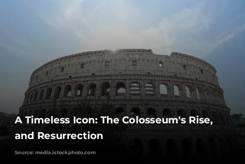 A Timeless Icon: The Colosseum's Rise, Fall, and Resurrection