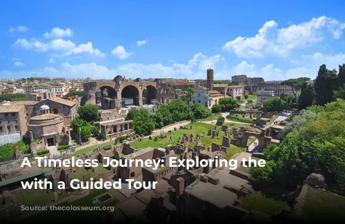 A Timeless Journey: Exploring the Colosseum with a Guided Tour