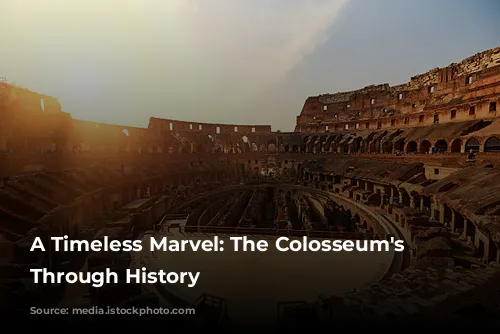 A Timeless Marvel: The Colosseum's Journey Through History